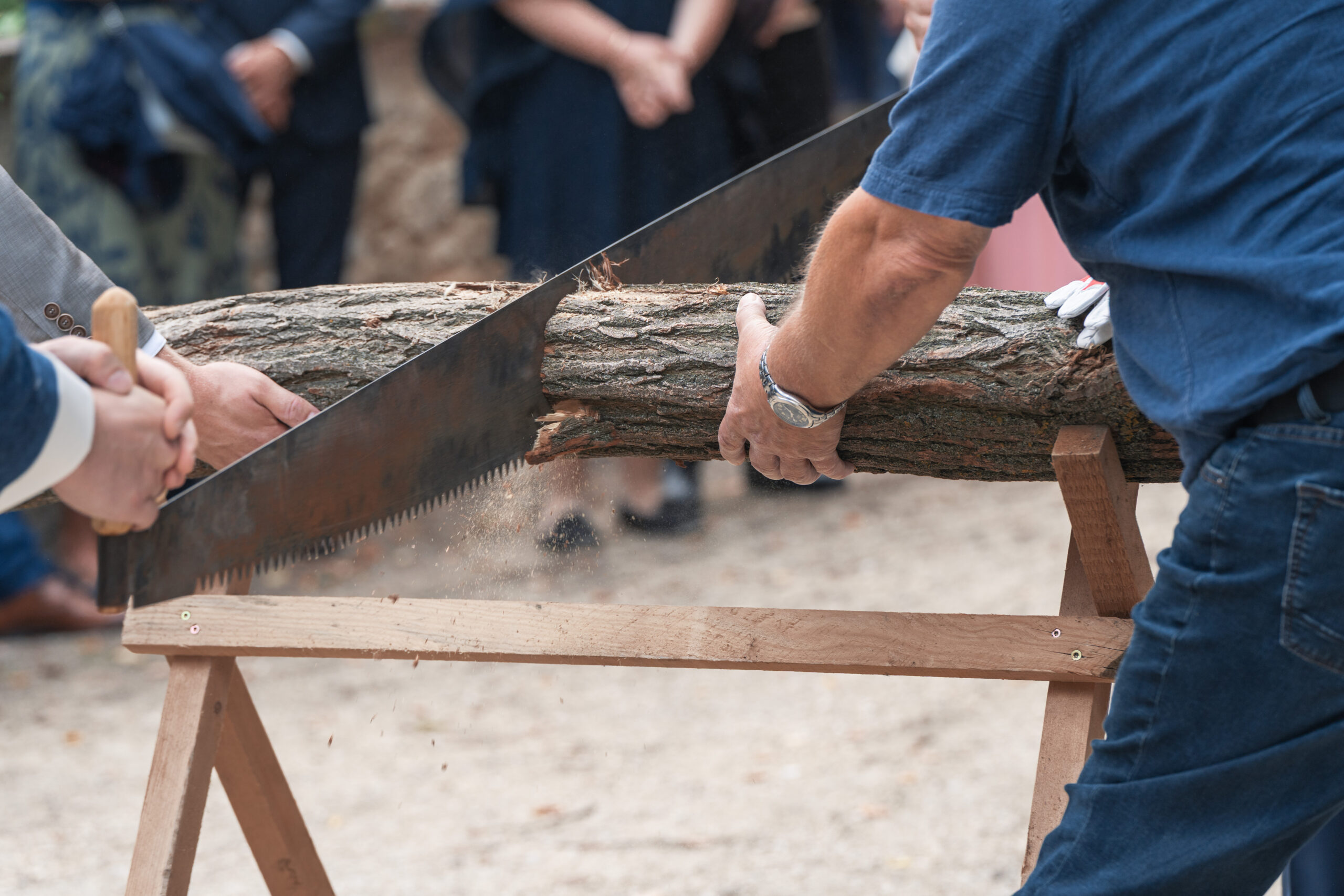 Hochzeitsfoto, ein baumstand wird gesägt,